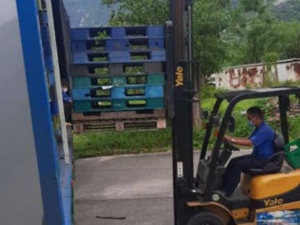 Dịch vụ cho thuê xe nâng hàng - Chi Nhánh Quảng Nam - Công Ty TNHH Thương Mại Vận Tải Hàng Hóa Khởi Nghiệp